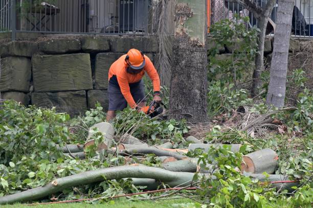 Best Arborist Consultation Services  in East Washington, PA